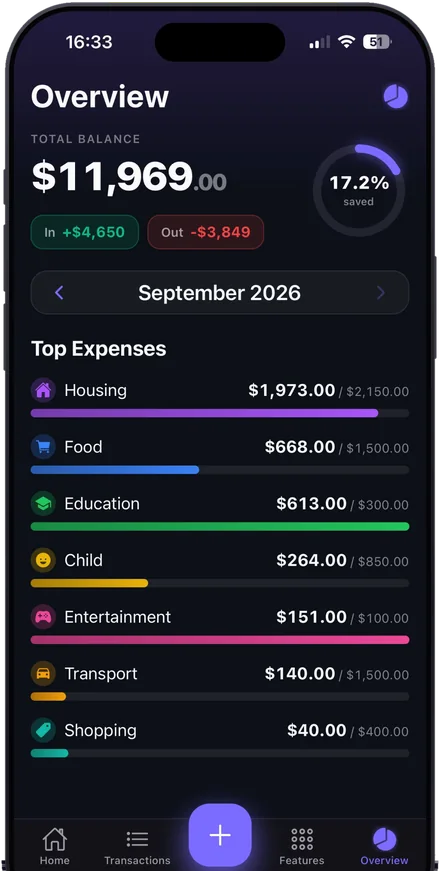 Overview screen with budget progress bars per category, some close to or over their limit.